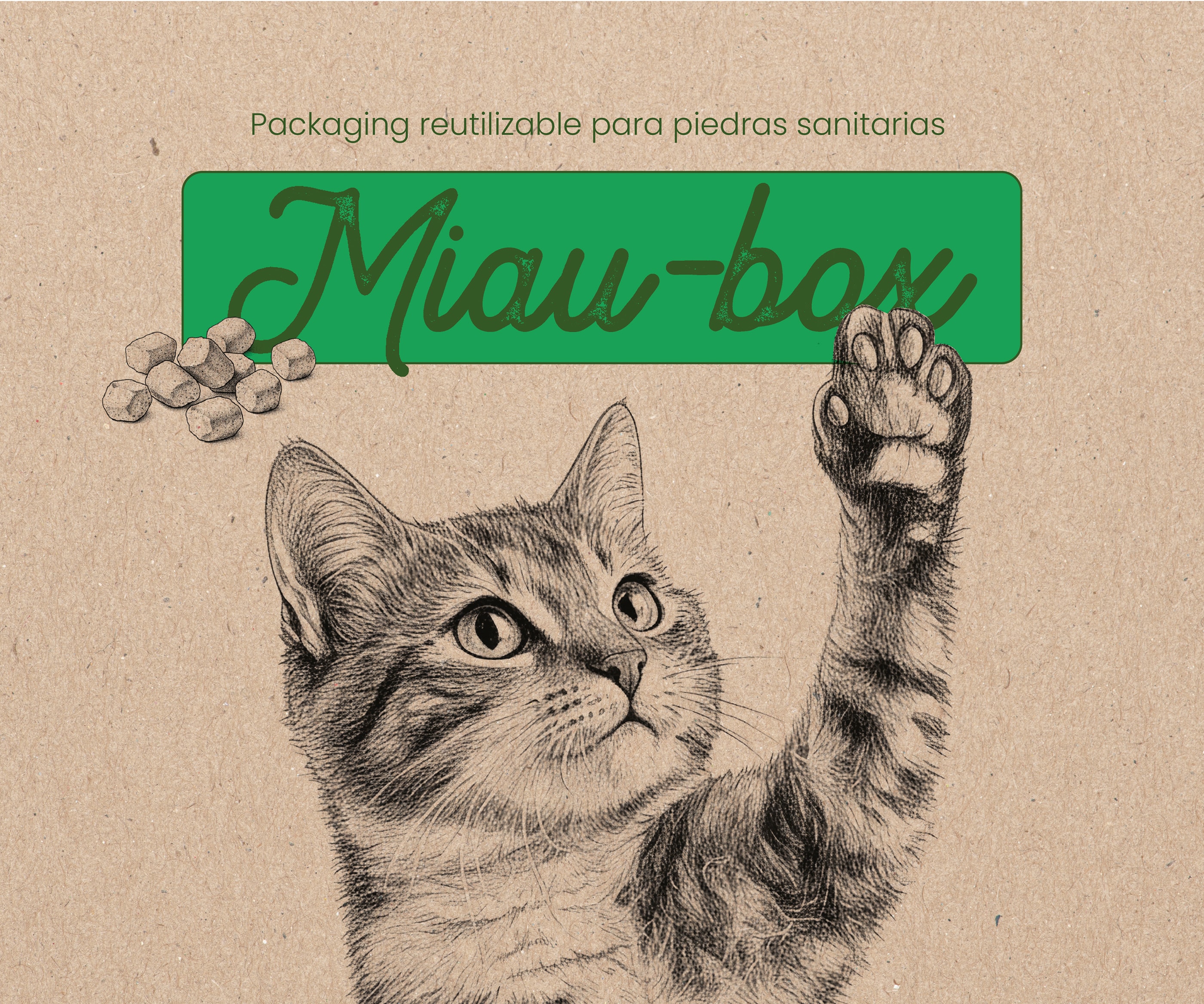 Packaging reutilizable - MiauBox
