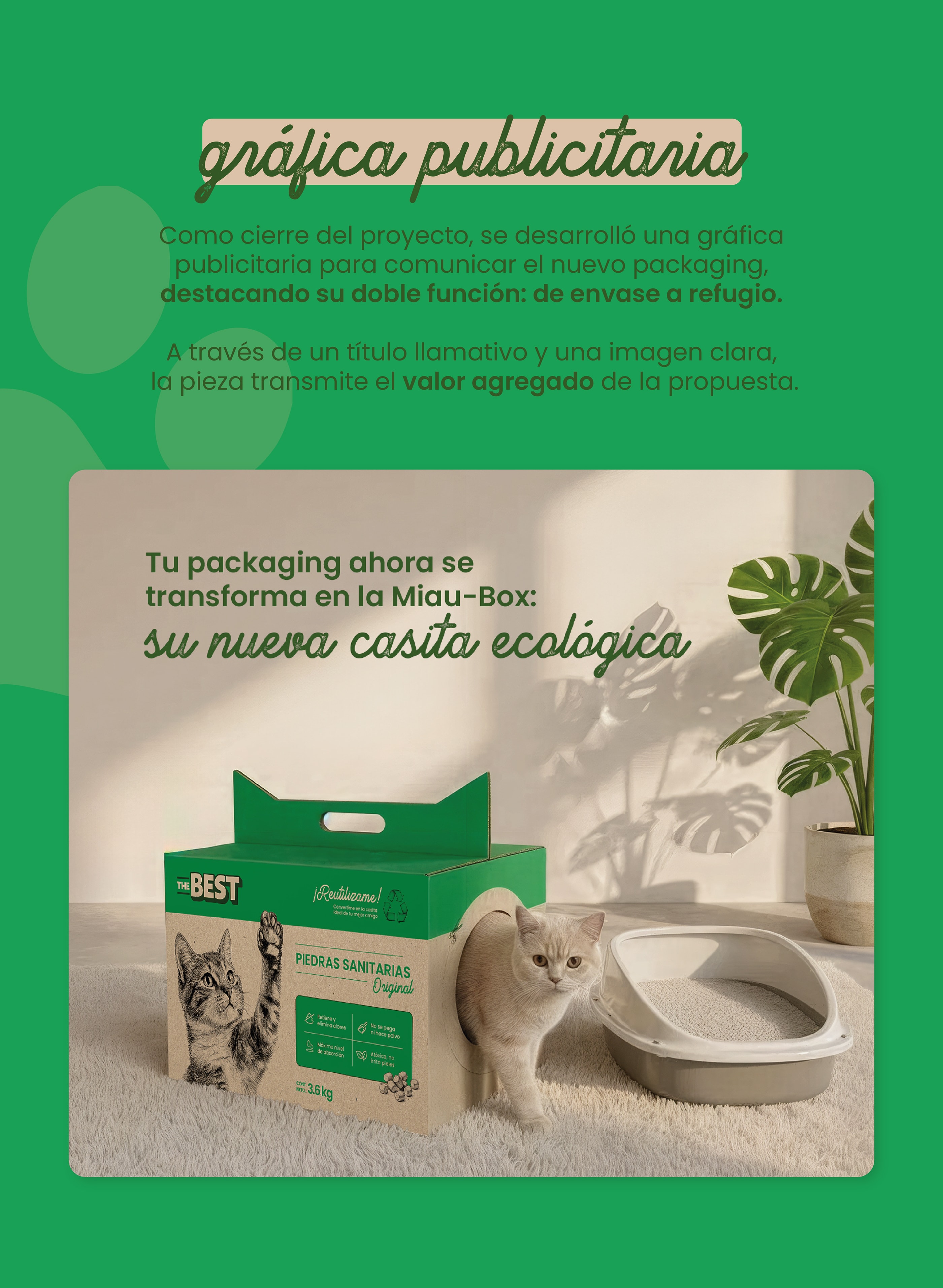 Packaging reutilizable - MiauBox