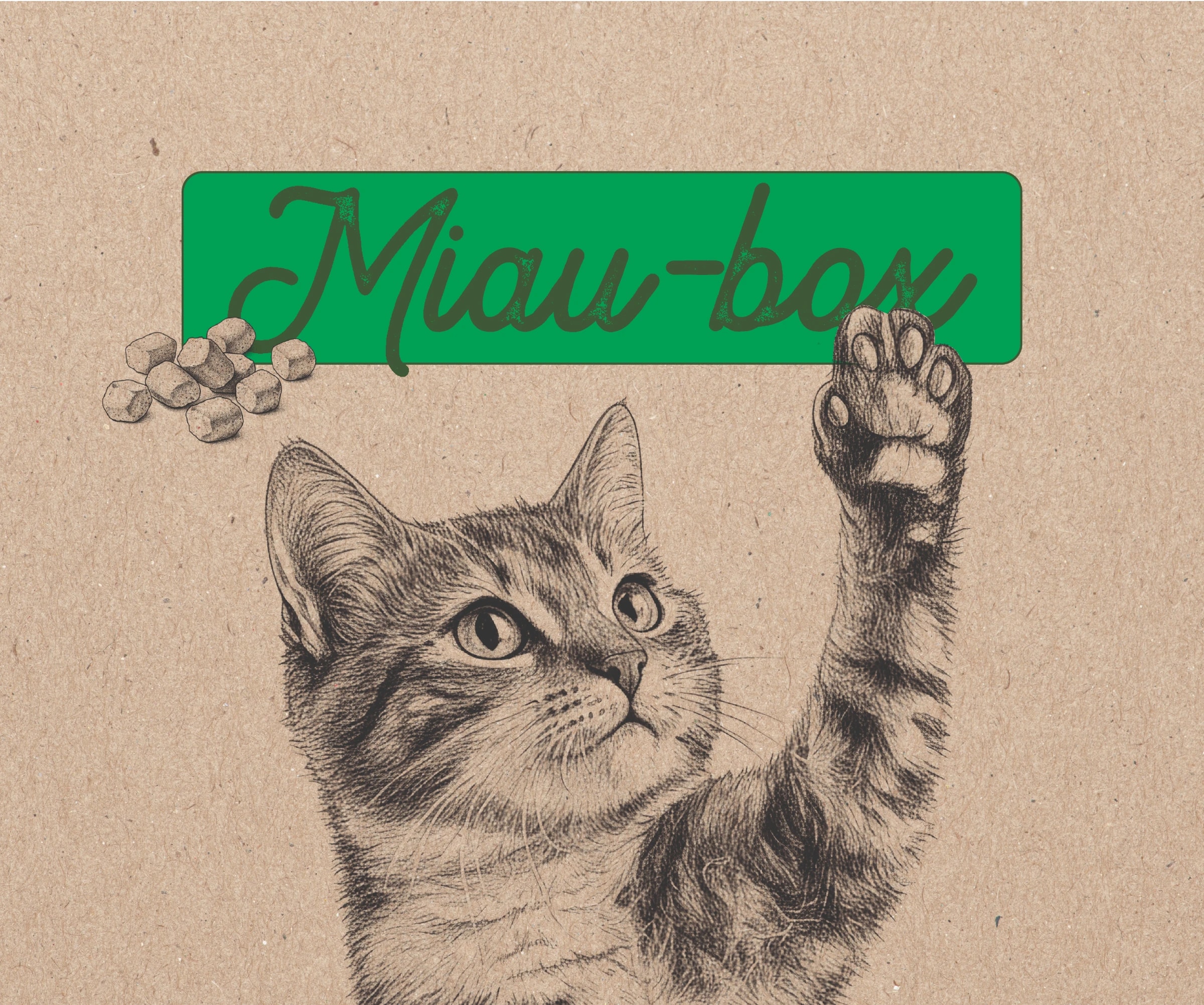 Packaging reutilizable - MiauBox